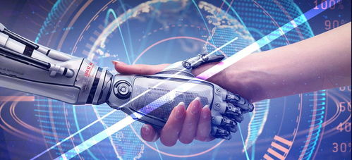 有温度的技术 在科技浪潮中坚守人性化的网络服务